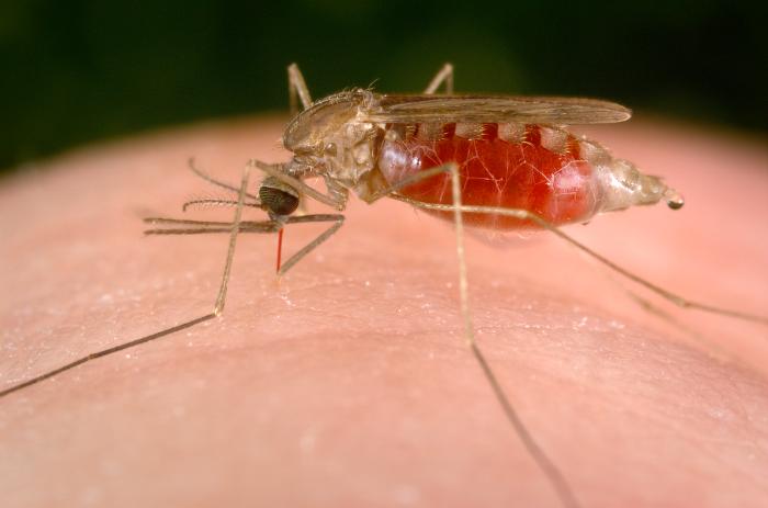 ExxonMobil recommits to global support for malaria