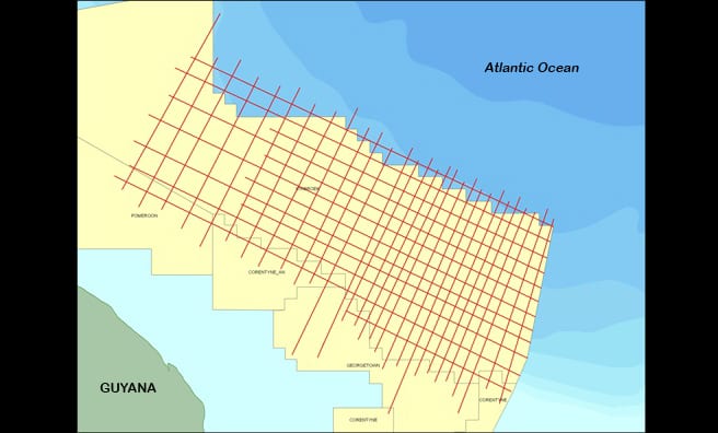 Open bidding for petroleum blocks will be determined by national interest – Trotman