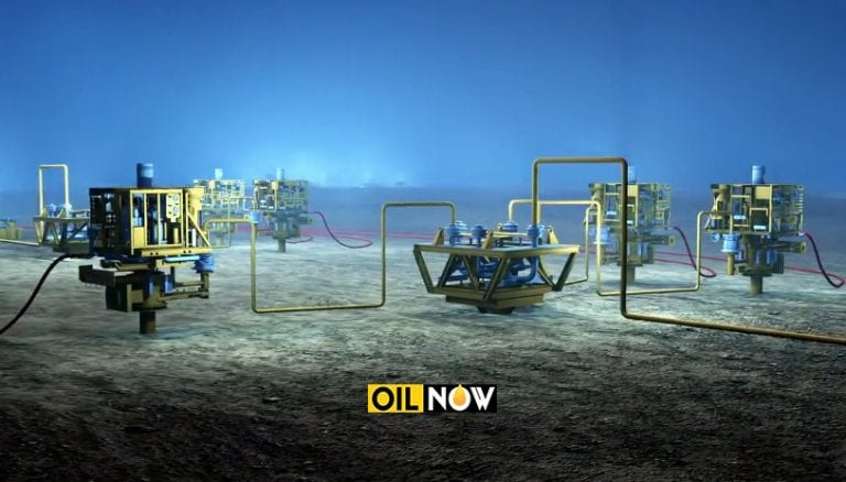 Oil will be produced from 8 wells in Liza Phase 1 development