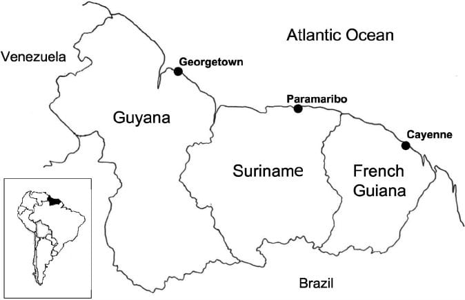 Guyana, Suriname mulling joint industrial venture for oil & gas
