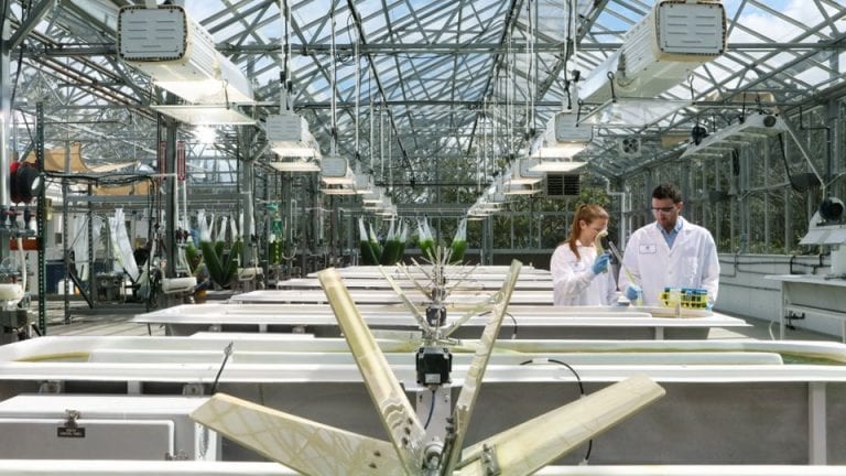 ExxonMobil to join Stanford Strategic Energy Alliance