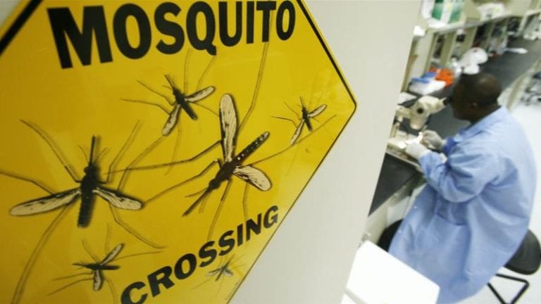 Malaria surges back in crisis-hit Venezuela