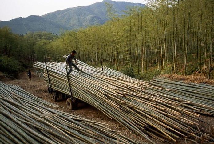 How did the ingenious use of bamboo poles help drill the first oil wells?