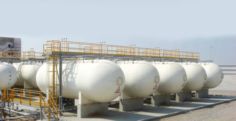 Guyana could establish LPG, protein plant in Region 3 as part of major development drive