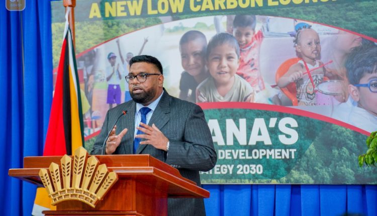 Guyana tying growth of oil sector with domestic, global low-carbon transitions – President Ali