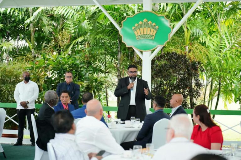 Better interest rates from banking sector, building ‘One Guyana’ on Ali’s radar
