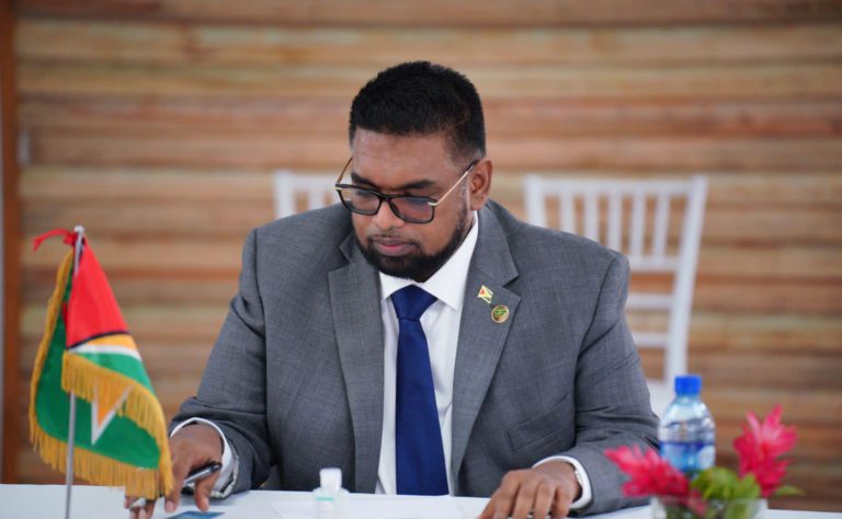 Guyana looking at best solution to tackle rising commodity prices – Ali