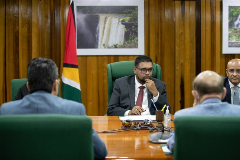 Ali in talks to promote Qatari investments in Guyana