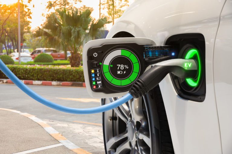 Guyana forging ahead with capacity building for electric vehicle industry