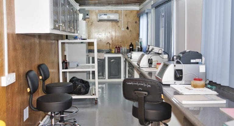 Why Guyana’s crude grades turn heads around the world