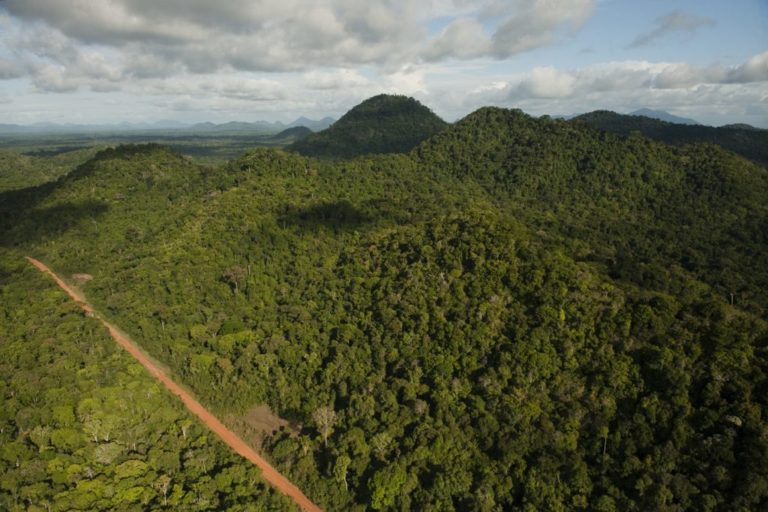 Guyana’s forests provide massive legroom for development of oil resources – VP Jagdeo