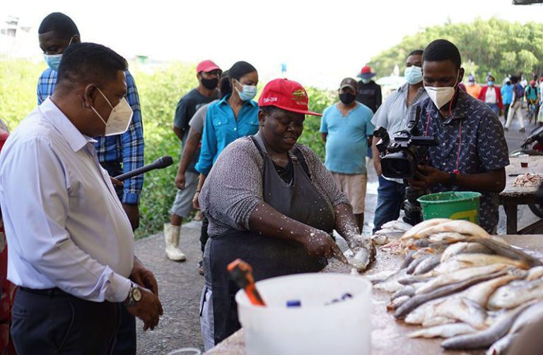 Decline in fish catch started in 2013 due to depletion/migration of stock – Report