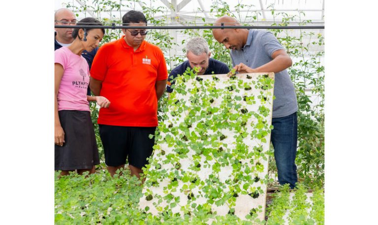 Local farm supplying produce for Guyana’s oil production vessels recognized for innovative use of technology