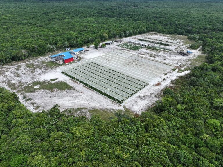 Local farm commissions cutting-edge greenhouse supported by SBM Offshore Guyana
