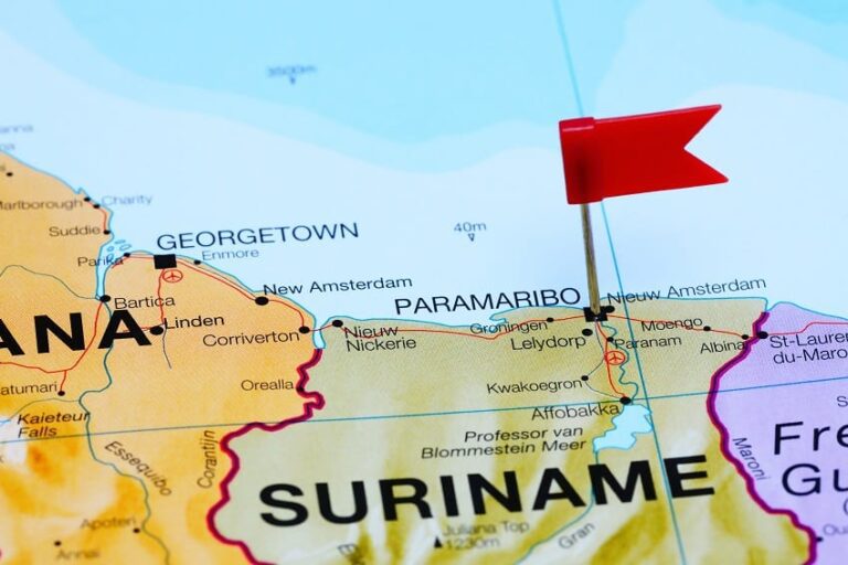 Suriname’s Roystonea, Fusaea discoveries could support 100,000 b/d development – WoodMac 
