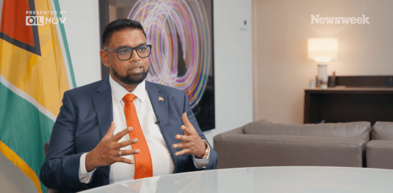Guyana wants to be global pioneer on climate, energy and food security, says Ali