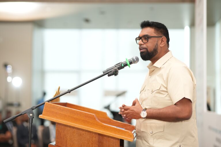 Scale of Guyana’s growth requires more investment bankers – Ali