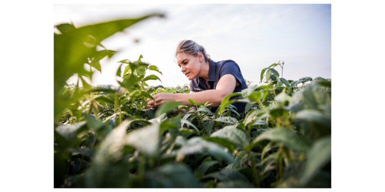 Syngenta Extends Leadership in Fungicides with ADEPIDYN® Technology