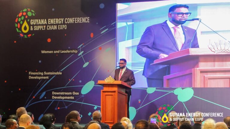 Come ‘win with us’ – President Ali as potential investors gather for 4th Energy Conference