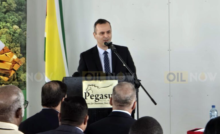 TotalEnergies ready to spend ‘tens of millions’ for seismic, geophysical surveys in Guyana’s S4 Block – Exploration VP 