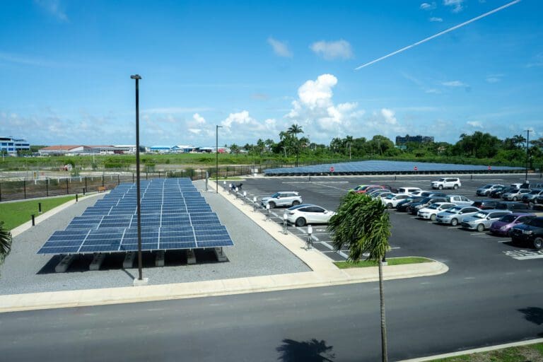 Solar PV leads global energy demand growth in 2025, overtakes fossil fuels – IEA 