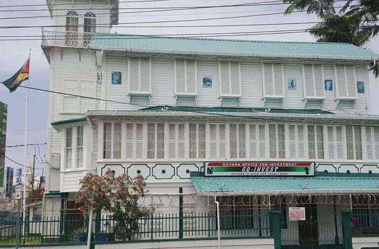 ‘Use energy revenues as a catalyst, not a crutch’- Go-Invest Head