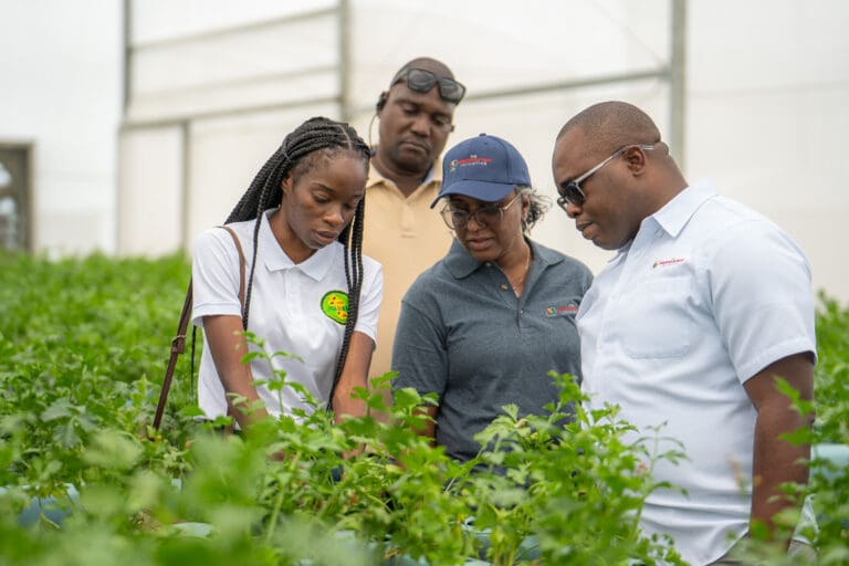 GGI call invites local groups to “shape Guyana’s sustainable development future” – lead