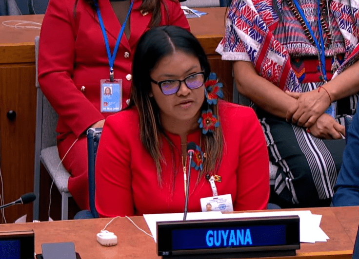 Guyana’s carbon credit sales generated US$69 million for Indigenous communities, as carbon sink remains robust – Minister