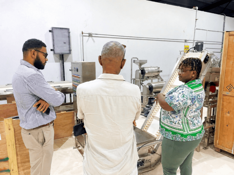 Cheaper power alone won’t build Guyana’s manufacturing sector